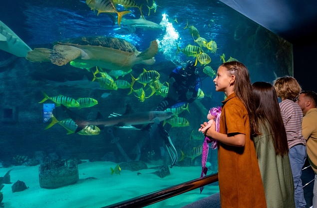 ШОУ "КОРМЛЕНИЕ"