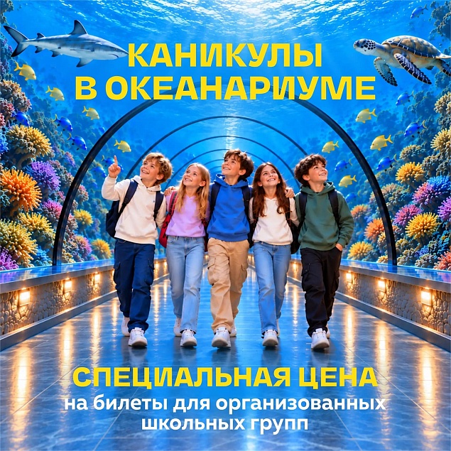 Специальная цена