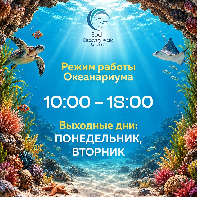График работы с 28 сентября 2026