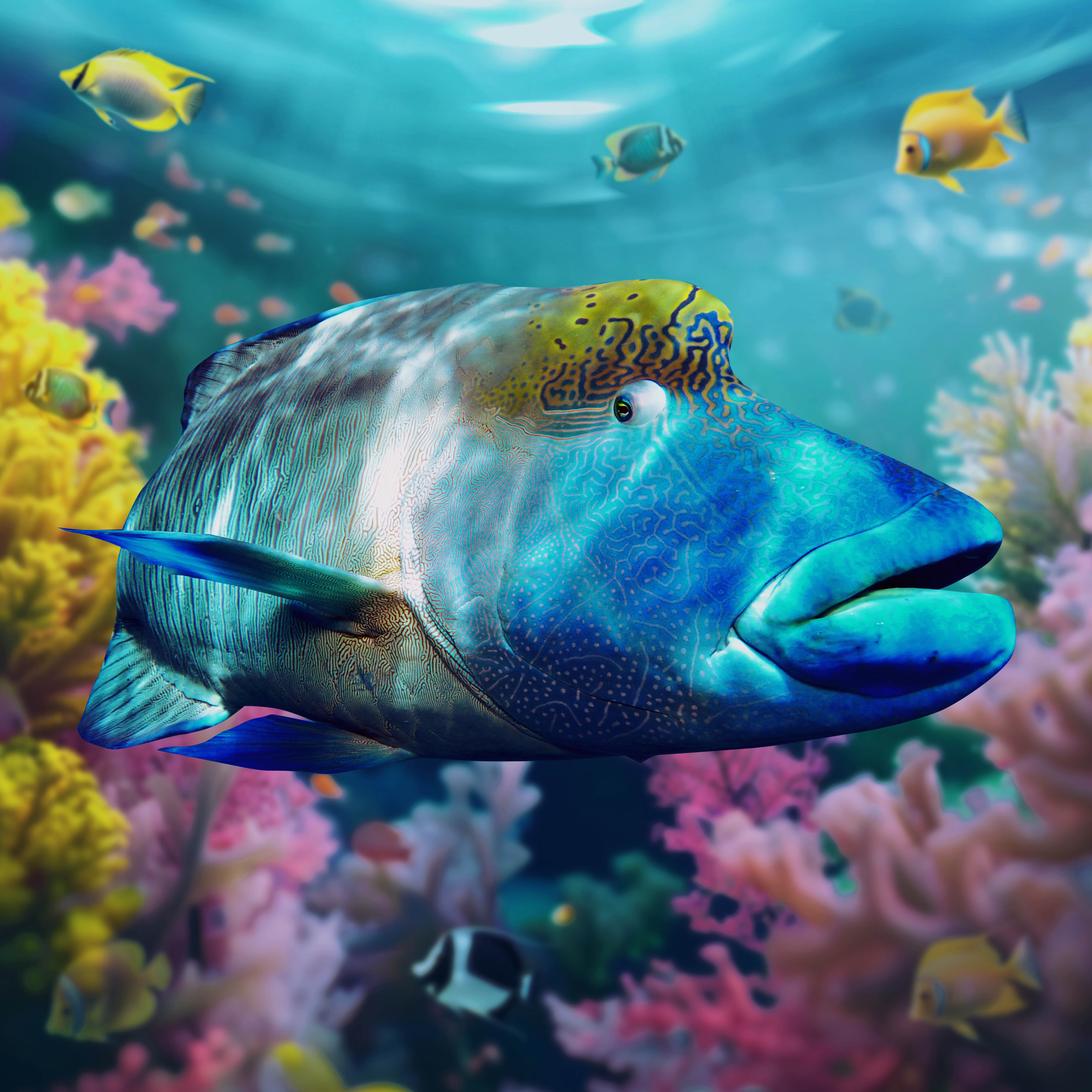 Новогодний режим работы Океанариума и расписание шоу-программ